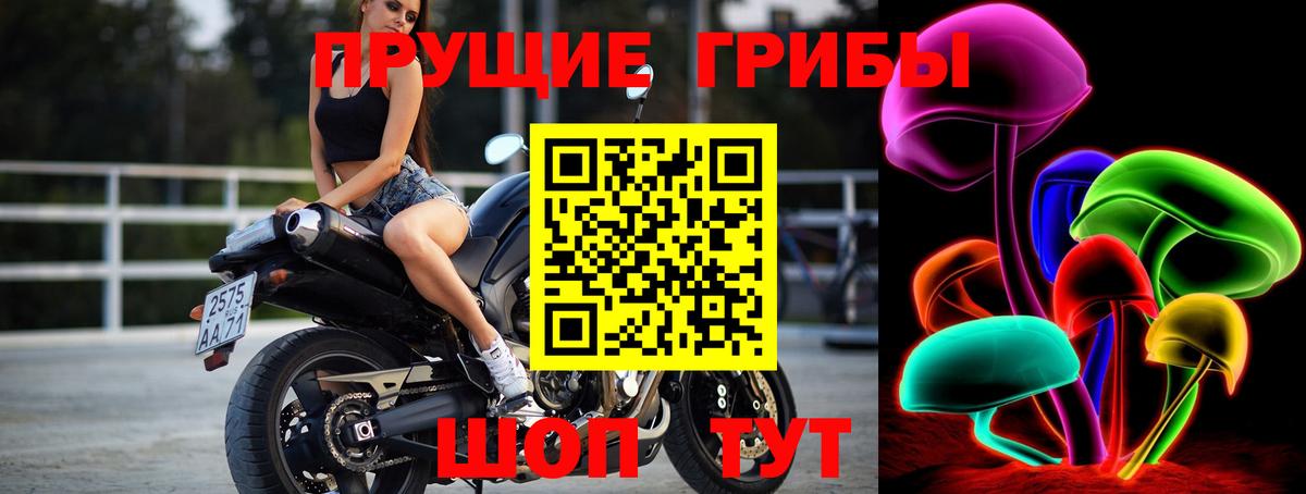 Галлюциногенные грибы MAGIC MUSHROOMS Ефремов