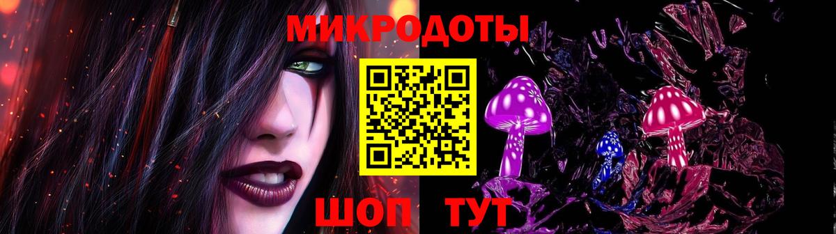Ефремов  Псилоцибиновые грибы Psilocybine cubensis  Вход с VPN 
